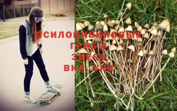 прущая мука Волоколамск